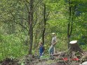 Steinschlichtung 014
